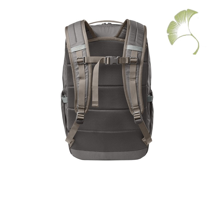 Cotopaxi (COTOU1701) - Chiquillo 30L Backpack (AOFS)