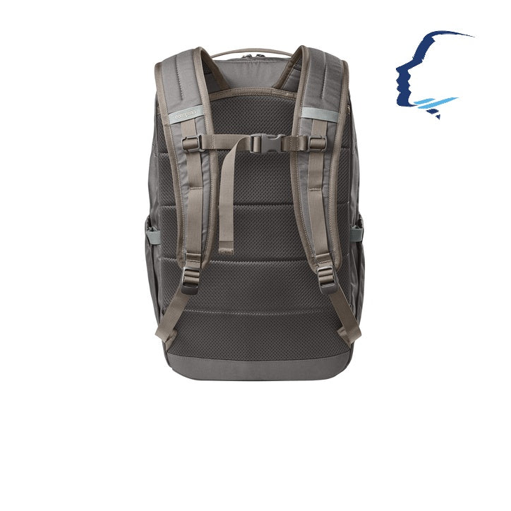 Cotopaxi (COTOU1701) - Chiquillo 30L Backpack (CCOFS)